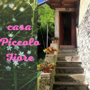 casa piccolo fiore